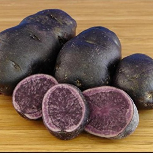 Potato Seed - Blue - Great Color Addition to All Your Food Dishes ...