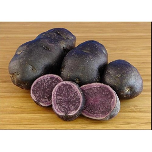Potato Seed - Blue - Great Color Addition to All Your Food Dishes ...