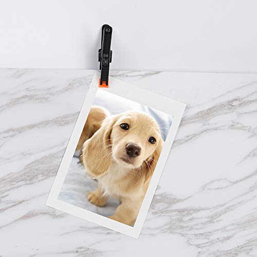 10 Packs of 3.5 inch Professional Plastic Small Spring Clamps 3 in...