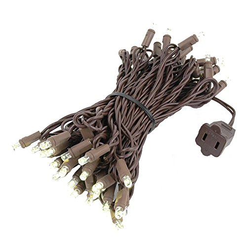 Novelty Lights 50 Light LED Christmas Mini Light Set, Outdoor Ligh...