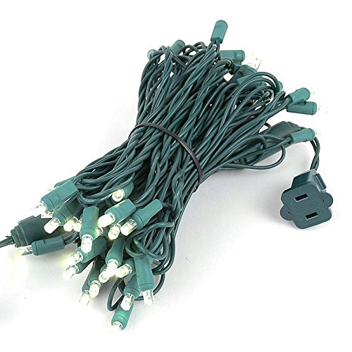 Novelty Lights 50 Light LED Christmas Mini Light Set, Outdoor Ligh...