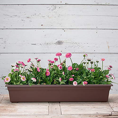 Novelty 16363, Brown, Countryside Flower Box Planter, 36-Inch