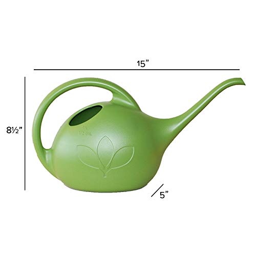 Novelty Indoor Watering Can, 1/2 Gallon, Green
