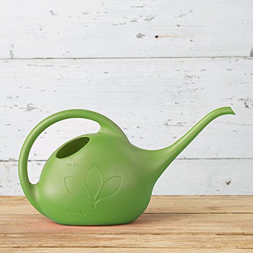 Novelty Indoor Watering Can, 1/2 Gallon, Green