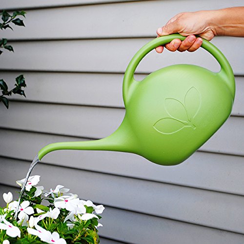 Novelty Indoor Watering Can, 1/2 Gallon, Green