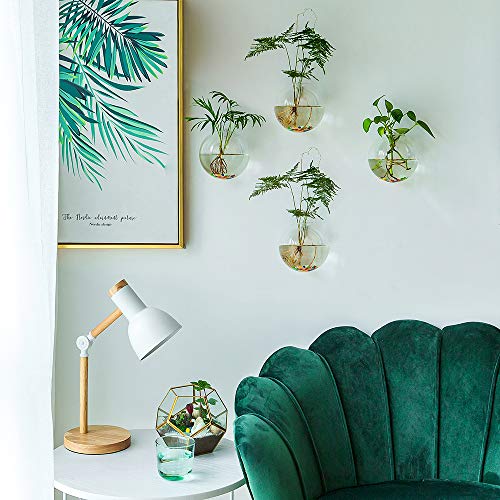 Nuptio 6 Pcs Wall Hanging Planters Glass Planter Terrariums Round ...
