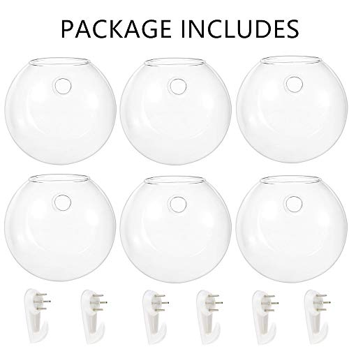 Nuptio 6 Pcs Wall Hanging Planters Glass Planter Terrariums Round ...