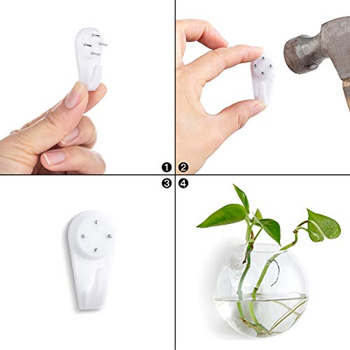 Nuptio 6 Pcs Wall Hanging Planters Glass Planter Terrariums Round ...