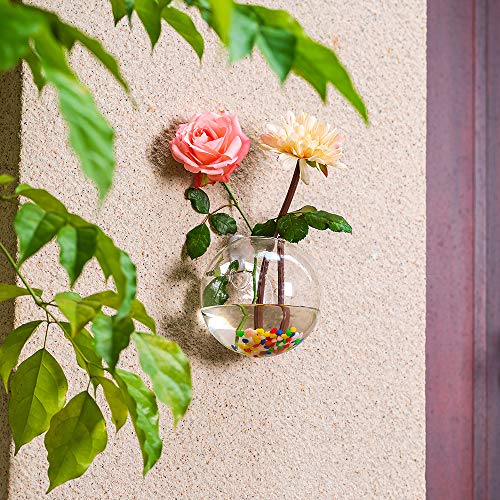 Nuptio 6 Pcs Wall Hanging Planters Glass Planter Terrariums Round ...