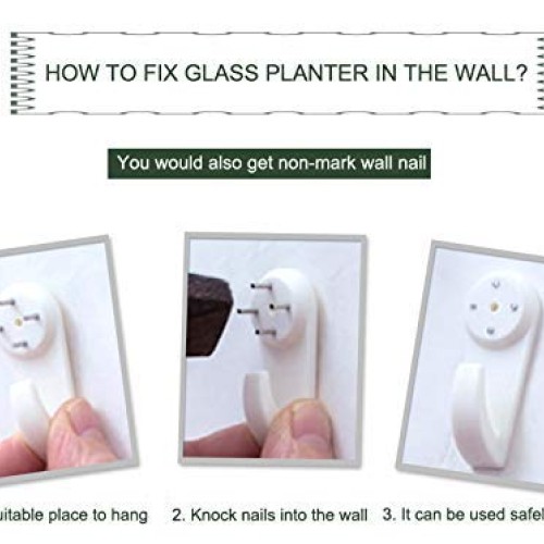 Nuptio 6 Pcs Wall Hanging Planters Glass Planter Terrariums Round ...