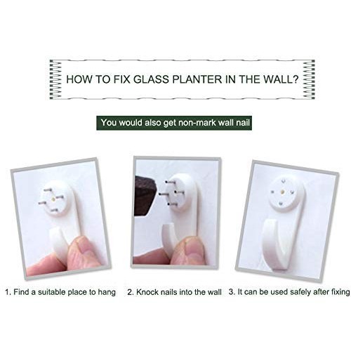 Nuptio 6 Pcs Wall Hanging Planters Glass Planter Terrariums Round ...