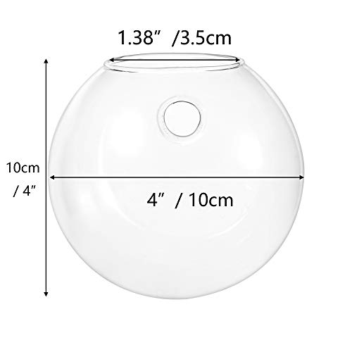 Nuptio 6 Pcs Wall Hanging Planters Glass Planter Terrariums Round ...