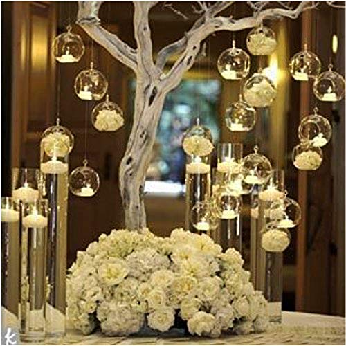 Nuptio Pcs of 8 Hanging Glass Terrarium Air Plant Candle Holders H...