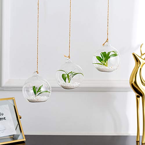 Nuptio Pcs of 8 Hanging Glass Terrarium Air Plant Candle Holders H...