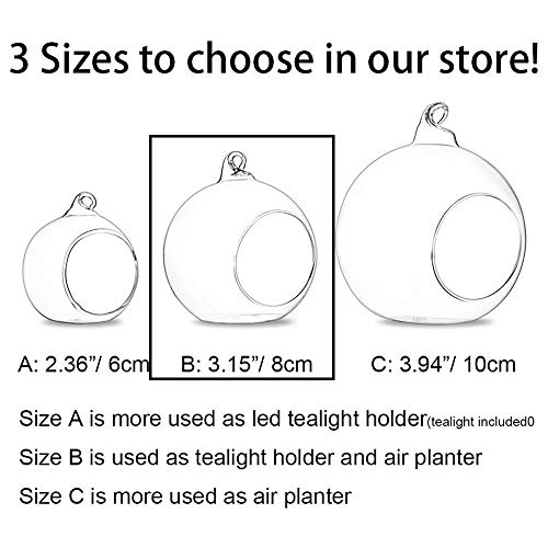 Nuptio Pcs of 8 Hanging Glass Terrarium Air Plant Candle Holders H...