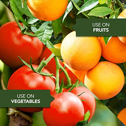 NutriONE 710200A All Purpose Food Essence for Indoor & Outdoor Pla...
