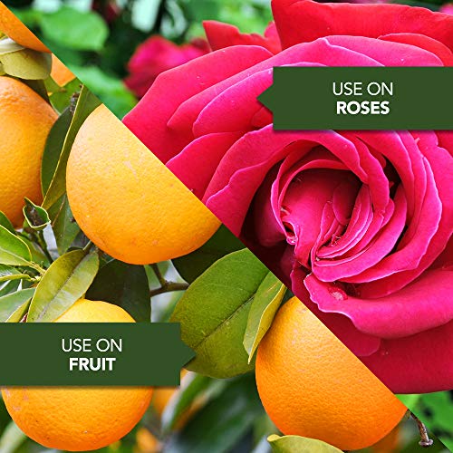 NutriONE 710200A All Purpose Food Essence for Indoor & Outdoor Pla...