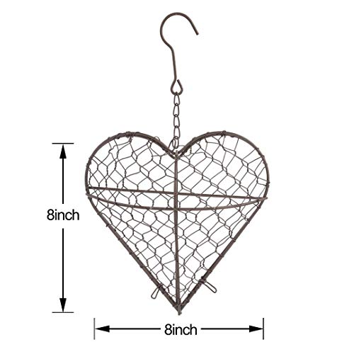 Nuxn Indoor Hanging Planter Holder Heart Shape Succulent Flower Po...