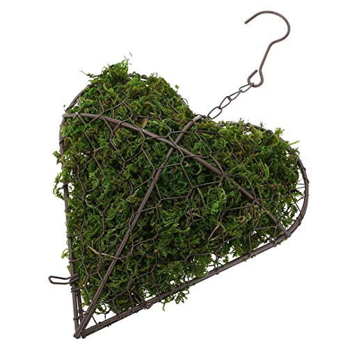 Nuxn Indoor Hanging Planter Holder Heart Shape Succulent Flower Po...