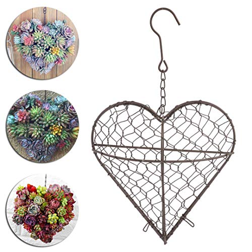 Nuxn Indoor Hanging Planter Holder Heart Shape Succulent Flower Po...