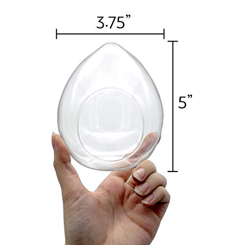 5-Inch Easter Bunny Air Plant Terrarium Complete Kit with Glass Te...