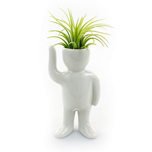 Ceramic Air Head People Planters - Air Plant Holders - Table Top D...