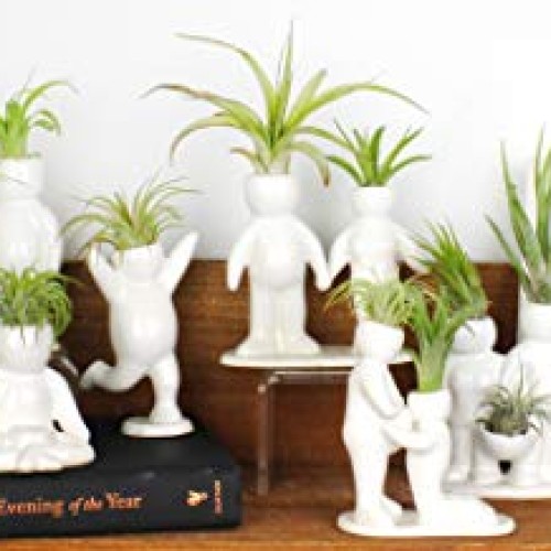 Ceramic People Planters for Air Plants - Air Plant Vase - Table To...