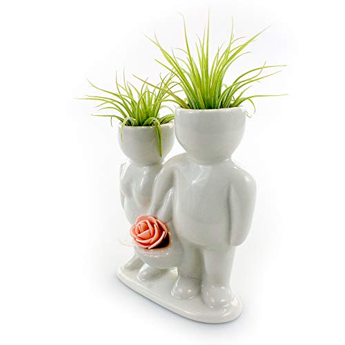 Live Tillandsia Air Plants and Air Plant Holder Complete with Cera...