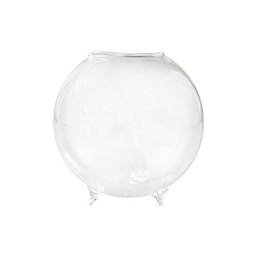 NW Wholesaler - Air Plant Orb Glass Terrarium Complete Kit - Great...
