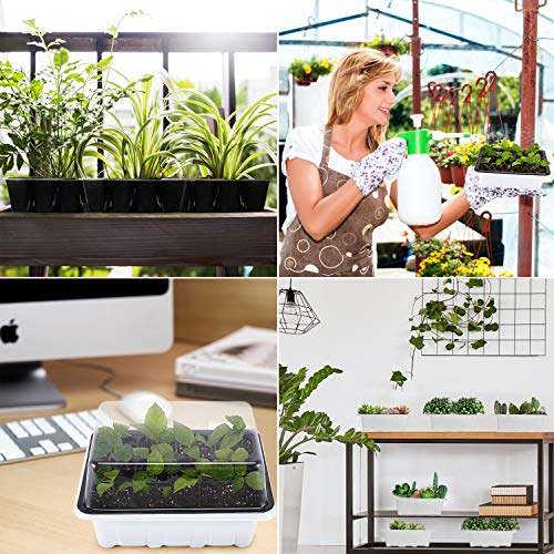 Oak Leaf Seed Starter Tray, 120 Cells Seedling Starter Trays Kit G...