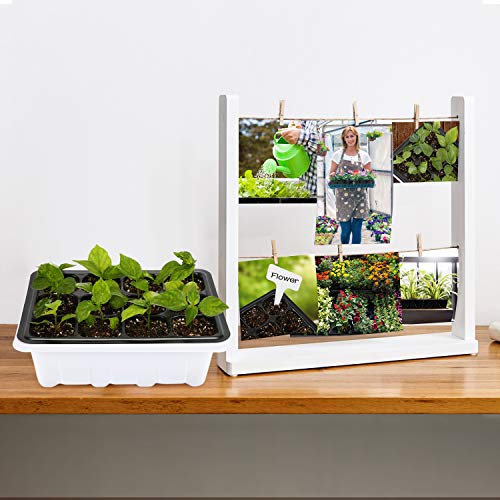 Oak Leaf Seed Starter Tray, 120 Cells Seedling Starter Trays Kit G...
