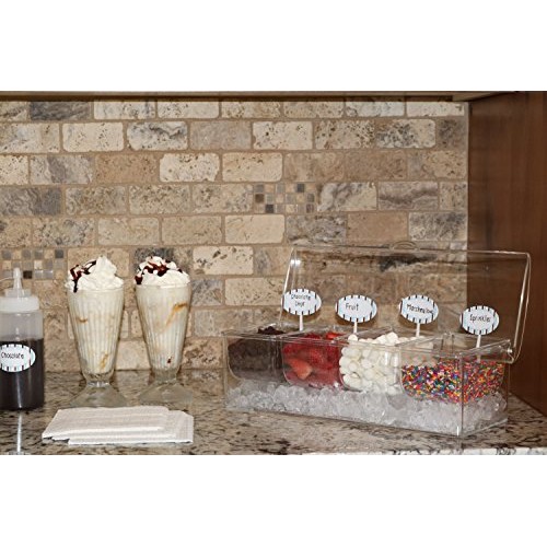 Large Clear Condiment Server Organizer on Ice with Containers and ...
