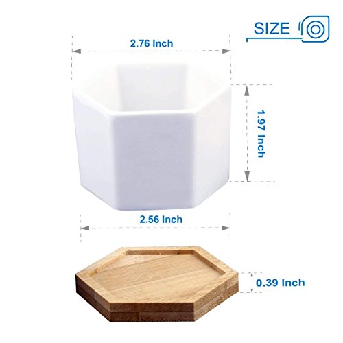 Succulent Plant Pots,OAMCEG 2.75 inch Mini Succulent Planter, Set ...