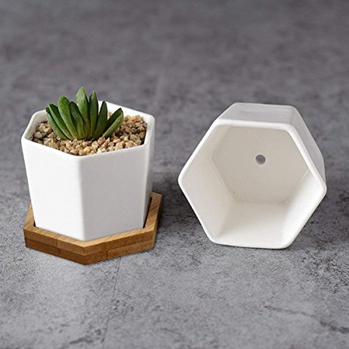 Succulent Plant Pots,OAMCEG 2.75 inch Mini Succulent Planter, Set ...