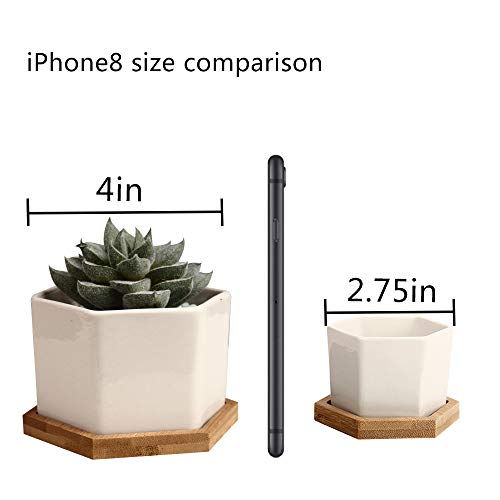 Succulent Plant Pots,OAMCEG 2.75 inch Mini Succulent Planter, Set ...
