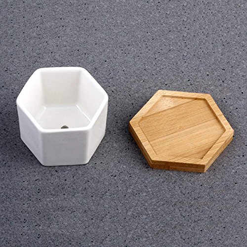 Succulent Plant Pots,OAMCEG 2.75 inch Mini Succulent Planter, Set ...