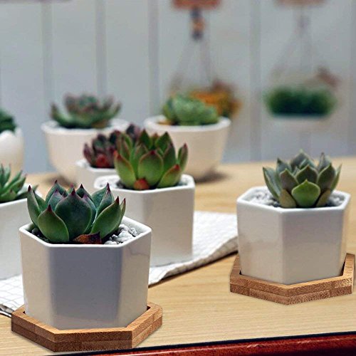 Succulent Plant Pots,OAMCEG 2.75 inch Mini Succulent Planter, Set ...