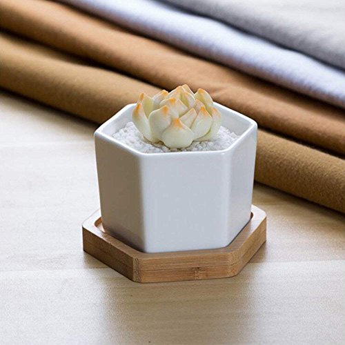 Succulent Plant Pots,OAMCEG 2.75 inch Mini Succulent Planter, Set ...