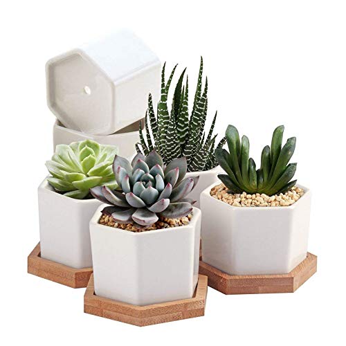 Succulent Plant Pots,OAMCEG 2.75 inch Mini Succulent Planter, Set ...