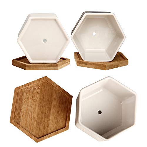 Succulent Pots, OAMCEG 4 Inch Succulent Planters, Set of 6 White C...