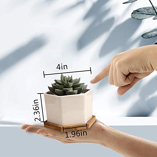 Succulent Pots, OAMCEG 4 Inch Succulent Planters, Set of 6 White C...
