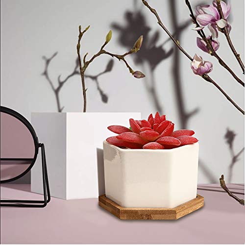 Succulent Pots, OAMCEG 4 Inch Succulent Planters, Set of 6 White C...