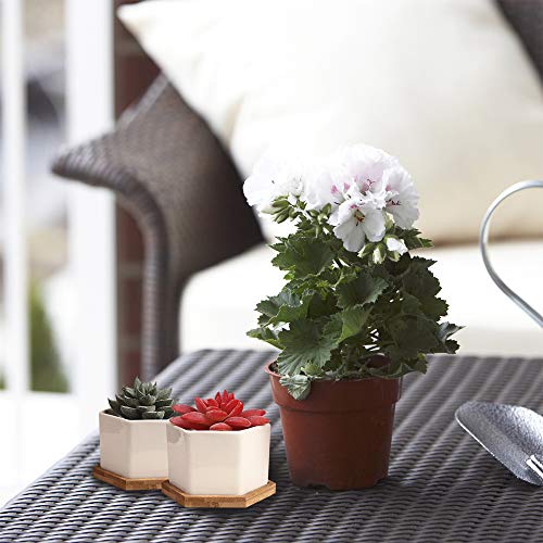 Succulent Pots, OAMCEG 4 Inch Succulent Planters, Set of 6 White C...