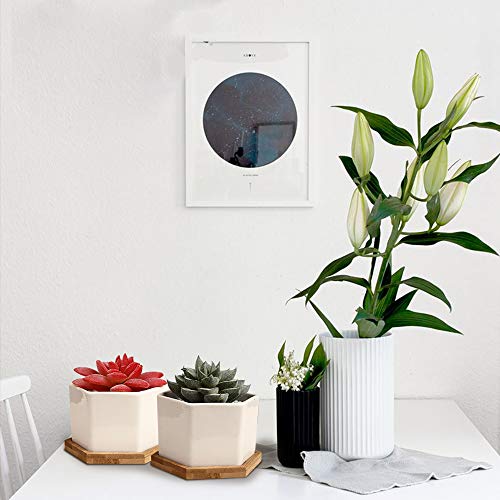 Succulent Pots, OAMCEG 4 Inch Succulent Planters, Set of 6 White C...