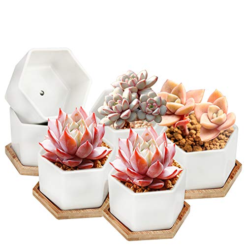 Succulent Pots, OAMCEG 4 Inch Succulent Planters, Set of 6 White C...