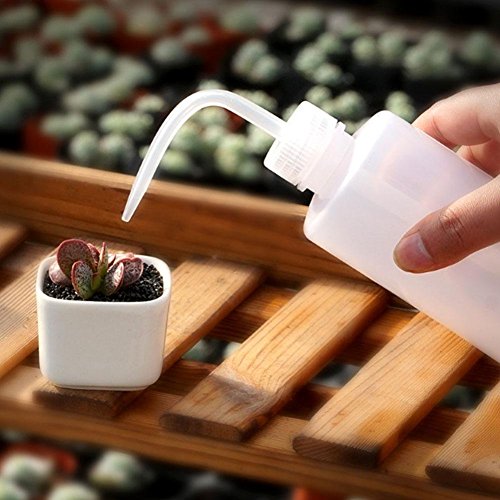 Wash Bottle, OAMCEG 2 Pack LDPE Solvent Squeeze Bottles, Watering ...