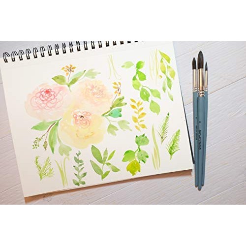 OAT ART STUDIO Watercolor Brush Set Premium Synthetic Blue Squirre...