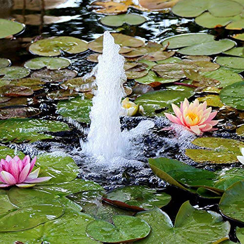 OCGIG Solar Powered Fountain Water Pump 8 Piece Nozzle for Bird Ba...