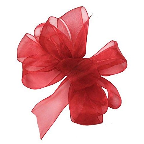 Offray Berwick LLC 135822 Berwick Simply Sheer Asiana Ribbon - 7/8...