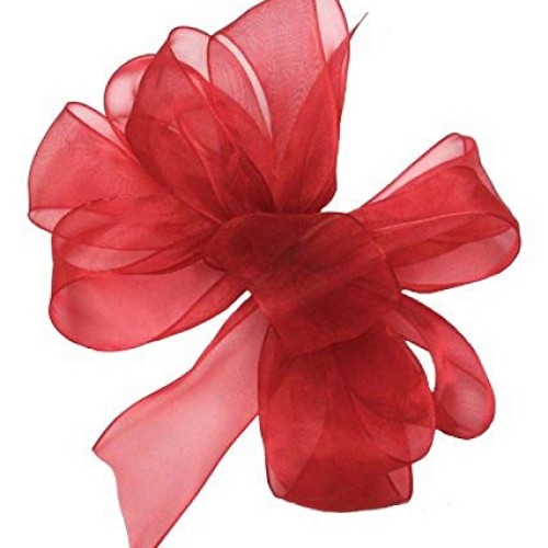 Offray Berwick LLC 135822 Berwick Simply Sheer Asiana Ribbon - 7/8...